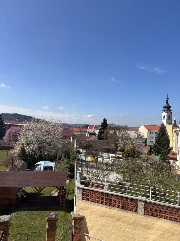 Výhled do zahrady